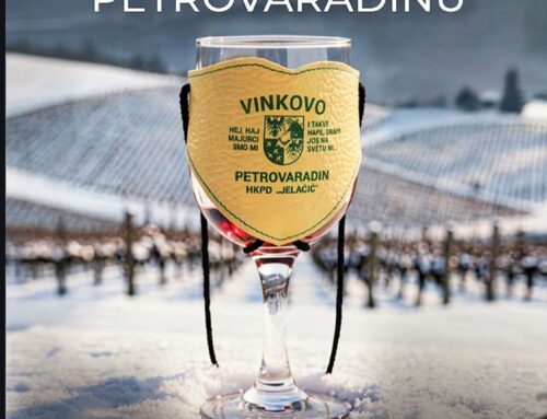 Proslava Vinkova u Petrovaradinu